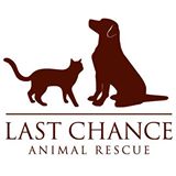 last_chance_animal_rescue